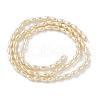 Polished Shell Pearl Beads Strands BSHE-L042-A01-01-5
