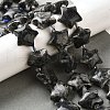 Natural Larvikite Beads Strands G-U023-C01-09-1