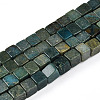Natural Shoushan Jade Beads Strands G-T140-48B-4