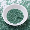 MIYUKI Delica Beads SEED-X0054-DB0060-2