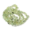Natural Prehnite Beads Strands G-P332-41A-2