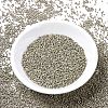 MIYUKI Delica Beads SEED-X0054-DB1168-2