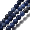 Natural Sodalite Round Bead Strands G-P072-27-6mm-2