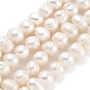 Natural Cultured Freshwater Pearl Beads Strands PEAR-C003-01C-2
