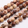 Natural Zebra Jasper Beads Strands G-G542-8mm-09-1