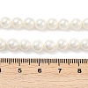 Round Shell Pearl Beads Strands BSHE-XCP0001-40B-5
