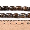 Natural Tibetan Agate 3-Eye Beads Strands G-T138-195A-5