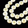 Natural Freshwater Shell Enamel Beads SHEL-N026-194-07-3