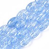 Transparent Crackle Glass Beads Strands GLAA-S192-B-010C-1