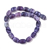 Natural Weathered Agate Beads Strands G-NH0047-B04-02-3