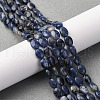 Natural Sodalite Beads Strands G-Z006-A39-1