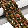 Natural Unakite Beads Strands G-F781-A04-01-2