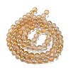 Frosted Transparent Glass Bead Strands GLAA-P065-10mm-02-5