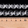 Frosted Glass Beads Strands GLAA-T023-30C-4