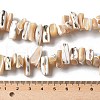 Dyed Natural Trochus Shell Beads Strands SSHEL-C013-09K-4