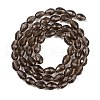Transparent Glass Beads Strands EGLA-N013-T6mm-D27-2