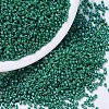 MIYUKI Delica Beads SEED-X0054-DB0656-1