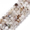 Natural Dendritic Agate Beads Strands X-G-C011-01B-1