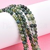 Natural Moss Agate Beads Strands X-GSR4mmC001-6