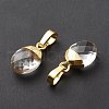 Natural & Synthetic Gemstone Charms G-D478-01LG-4