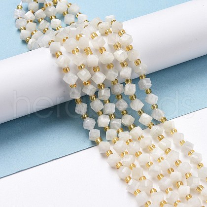 Natural White Moonstone Beads Strands G-P463-16-1
