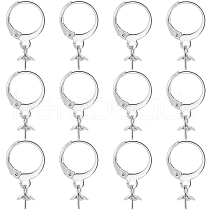 SUNNYCLUE 40Pcs 304 Stainless Steel Leverback Earring Findings STAS-SC0006-49-1