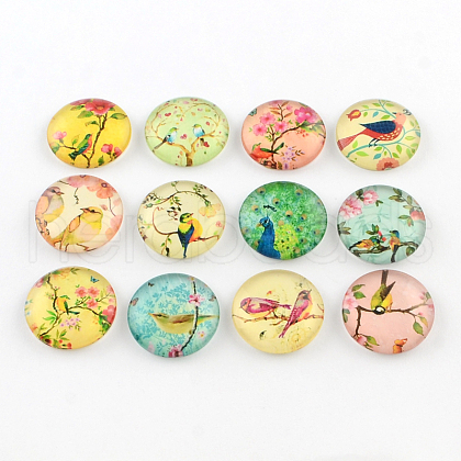 Half Round/Dome Bird Pattern Glass Flatback Cabochons for DIY Projects X-GGLA-Q037-25mm-M07-1