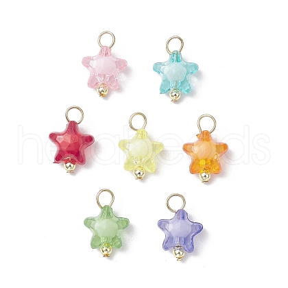 Transparent Acrylic Pendants PALLOY-JF03839-02-1
