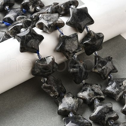 Natural Larvikite Beads Strands G-U023-C01-09-1