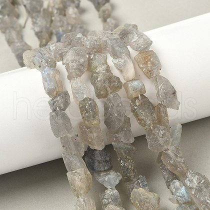Raw Rough Natural Labradorite Beads Strands G-M453-D14-1