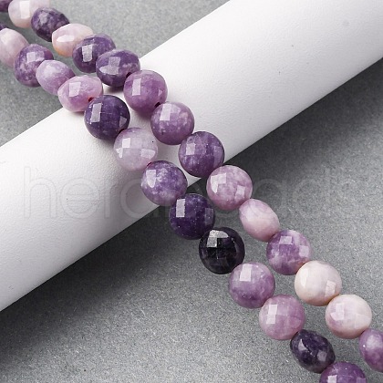 Natural Lepidolite/Purple Mica Stone Beads Strands G-C179-A38-03-1