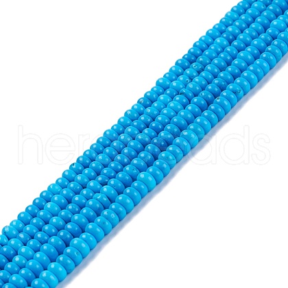 Natural Magnesite Beads Strands TURQ-Z002-02A-1