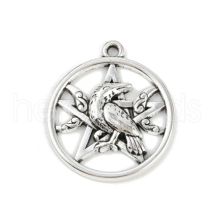 Tibetan Style Alloy Pendants PALLOY-P310-01F-AS-1