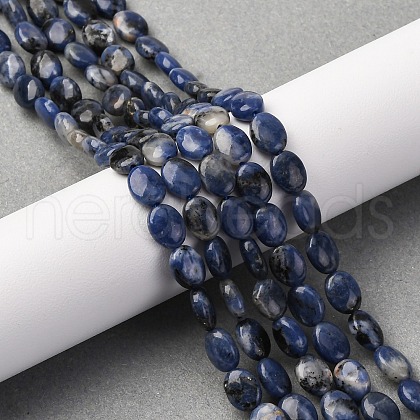 Natural Sodalite Beads Strands G-Z006-A39-1