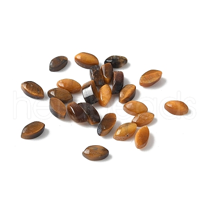 Natural Tiger Eye Cabochons G-Z075-05A-1
