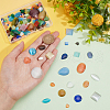   168Pcs 24 Style Cat Eye Cabochons CE-PH0001-05-3