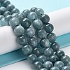 Dyed Natural Malaysia Jade Beads Strands G-G021-01B-01-1