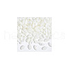  2 Strands Natural Shell Beads Strands DIY-NB0012-09-7