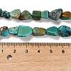 Natural HuBei Turquoise Beads Strands X-G-P497-01E-19-5