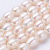 Natural Cultured Freshwater Pearl Beads Strands PEAR-P002-29-1