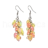 Heart Transparent Acrylic Dangle Earrings EJEW-JE06365-04-2