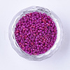 Baking Paint Cylinder Seed Beads SEED-Q036-02A-D10-2