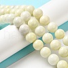 Natural Jade Beads Strands G-H298-A04-05-2