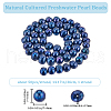 Beebeecraft 1 Strand Natural Cultured Freshwater Pearl Beads Strands PEAR-BBC0001-20-2