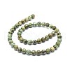 Natural Rhyolite Jasper Beads Strands G-F674-03A-8mm-2