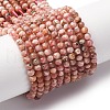 Natural Rhodonite Bead Strands G-A129-3mm-21A-1