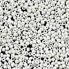 Glass Seed Beads SEED-S060-A-F207-9