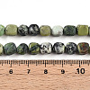Natural Serpentine Beads Strands G-N346-04A-04-5