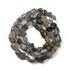Natural Labradorite Beads Strands G-Q060-D02-3