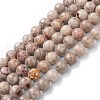 Natural Maifanite/Maifan Stone Beads Strands G-P451-01A-B-1